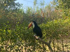 -泉州海丝野生动物世界