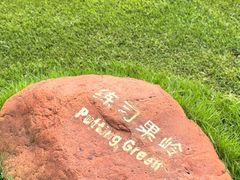 -三亚鹿回头高尔夫球会-停车场