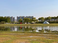 -春花秋色城市公园