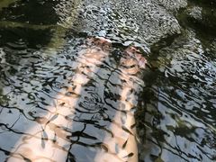 -龙达温泉生态城