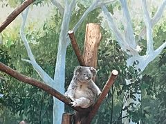 -广州长隆野生动物世界