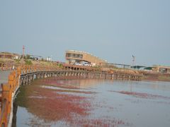 -盘锦红海温泉乐园