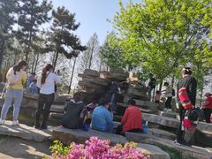 -羊亭河湿地公园