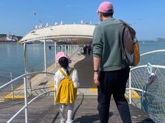 -海驴岛(荣成市)