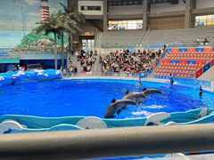 -海合安成都极地海洋公园