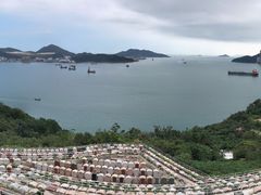 -黄家驹墓