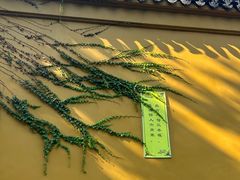 -西园戒幢律寺