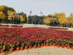 -长白岛森林公园