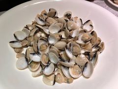 白贝-沙河粉村·国家非遗传承(云台店)