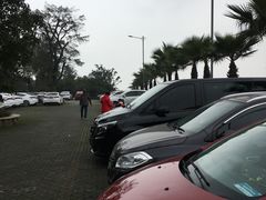 -铁山坪森林公园