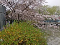 -无锡梅园公园