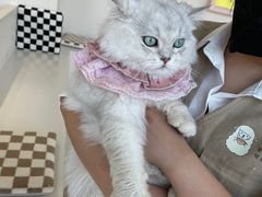 -怪兽屋·羊驼·猫咖·狗咖(俊华广场店)