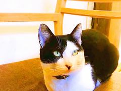 -猫的天空之城概念书店(杭州南宋御街店)