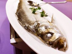 清蒸白水鱼-张福记(陇海中路店)