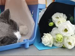 -爱侣宠医·鹦鹉专科·小型哺乳类·异宠专科(灵石路店)