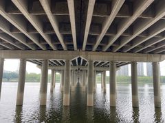 -长白岛森林公园