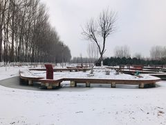-东郊湿地公园