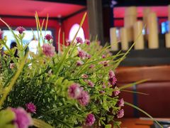 -大渝火锅(苏州西城永捷店)