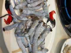 -牛排王糟粕醋火锅(海甸分店)