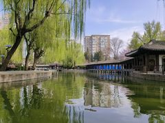 -团结湖公园