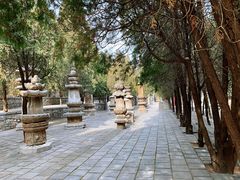 -四门塔风景区
