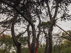 -北陵公园