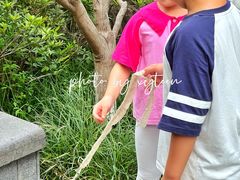 -郑和公园