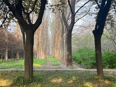 -洛阳市隋唐城遗址植物园
