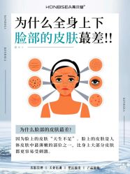 点击看大图 -玛莲朵·海菲秀冰珀科