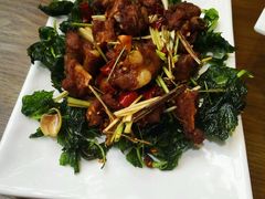-福照楼汽锅鸡·云南菜(护国路店)