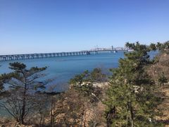 -星海湾跨海大桥