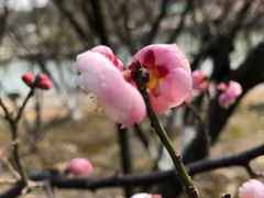 -白塘生态植物园