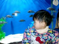 -洛阳龙门海洋馆