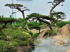 -罗红摄影艺术馆