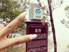 -大罗山风景区