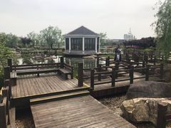 -上海鲜花港