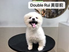 -Double Rui宠物酒店