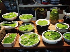 -双季花艺园艺市场(浦东店)