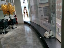 -M Hair造型