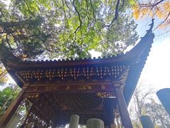 -汇龙潭