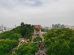 -黄鹤楼公园(黄鹤楼)