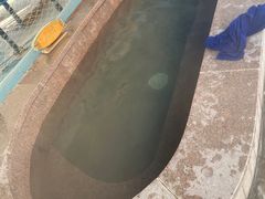 -南宫温泉水世界