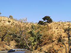 -遵化市禅林寺古银杏风景园