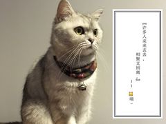 -研途咖啡馆(健康路店)