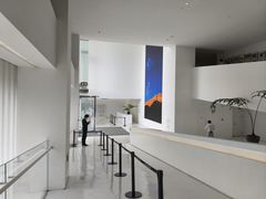 -罗红摄影艺术馆