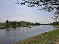 -羊亭河湿地公园