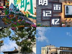 -顺城金记卤鸡·清真