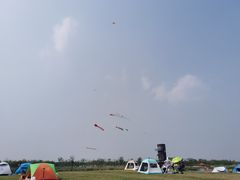 -春花秋色城市公园