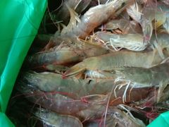 -马王堆海鲜水产市场