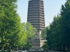 -玲珑塔公园